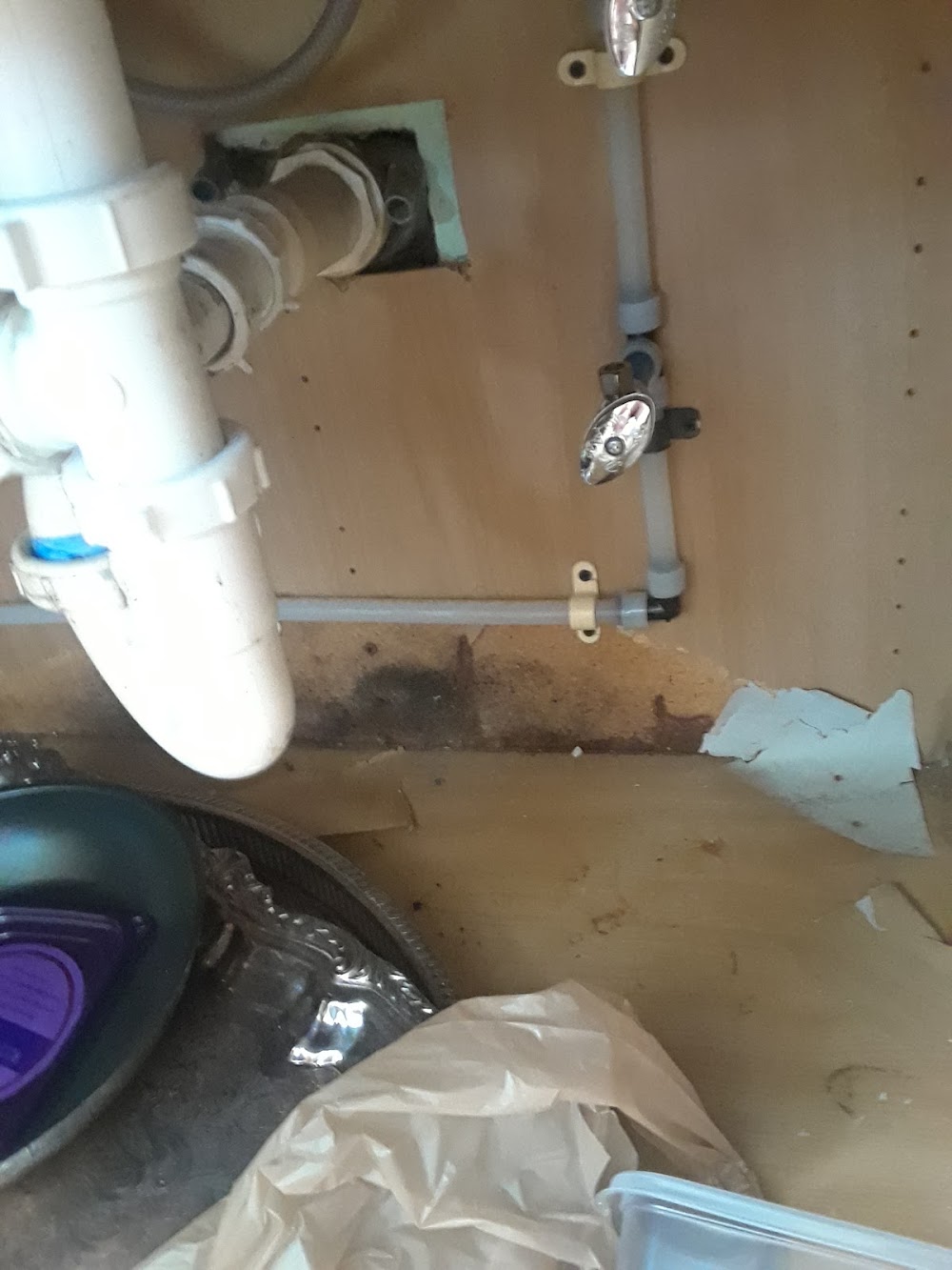 Beckwith Plumbing Inc