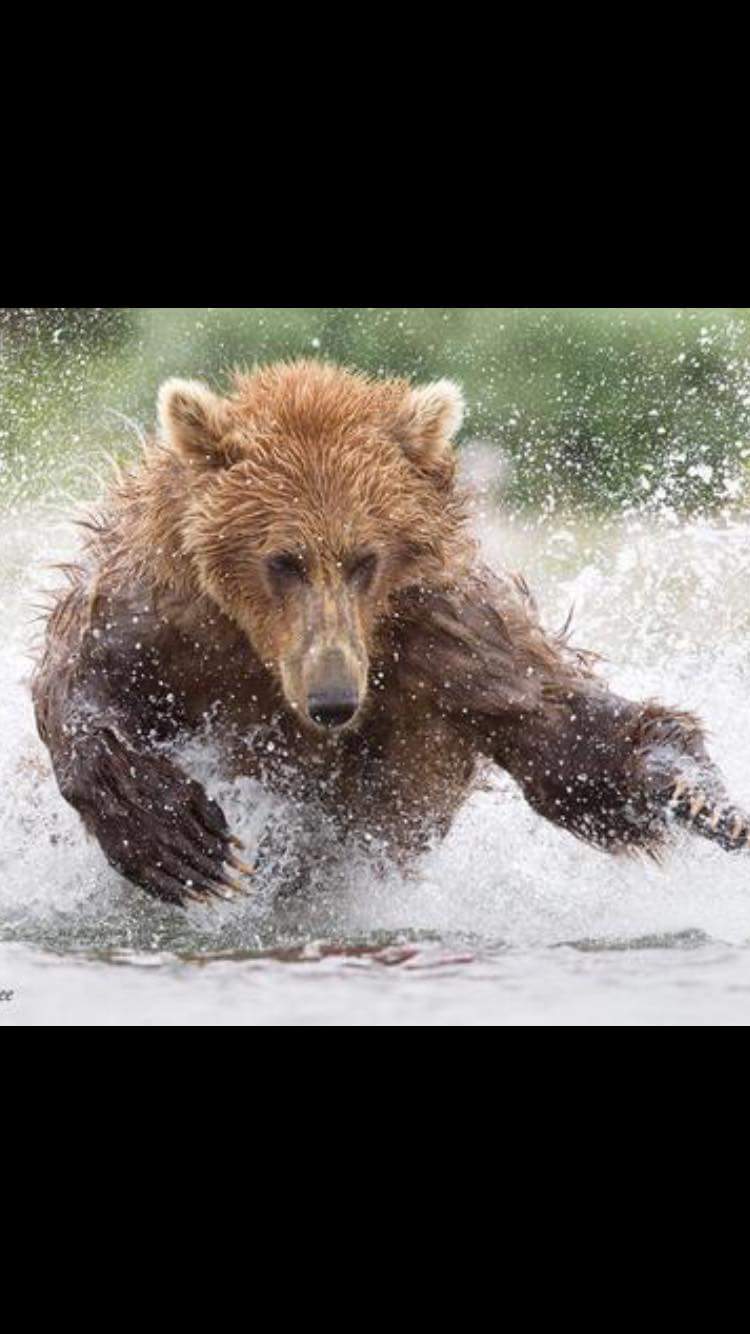 Big Bear Plumbing Company, Serving Reno Nevada