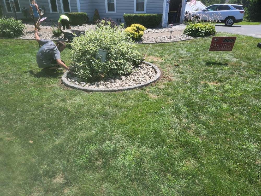 C&M excavating ,property services ,septics & landscaping