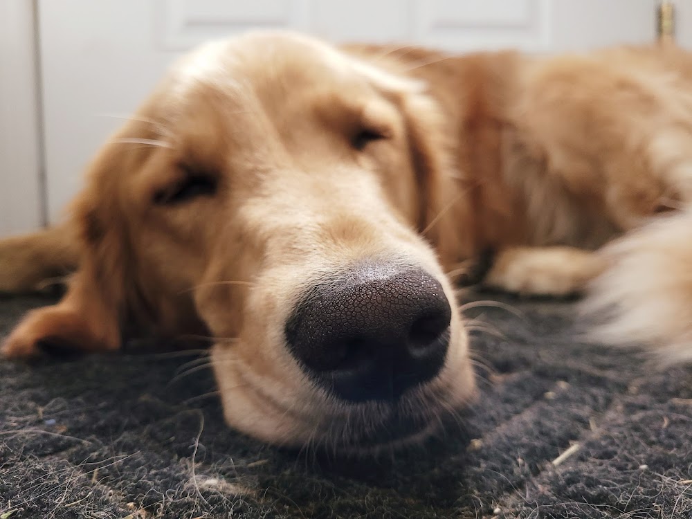 Golden Rule Plumbing & Contracting, LLC