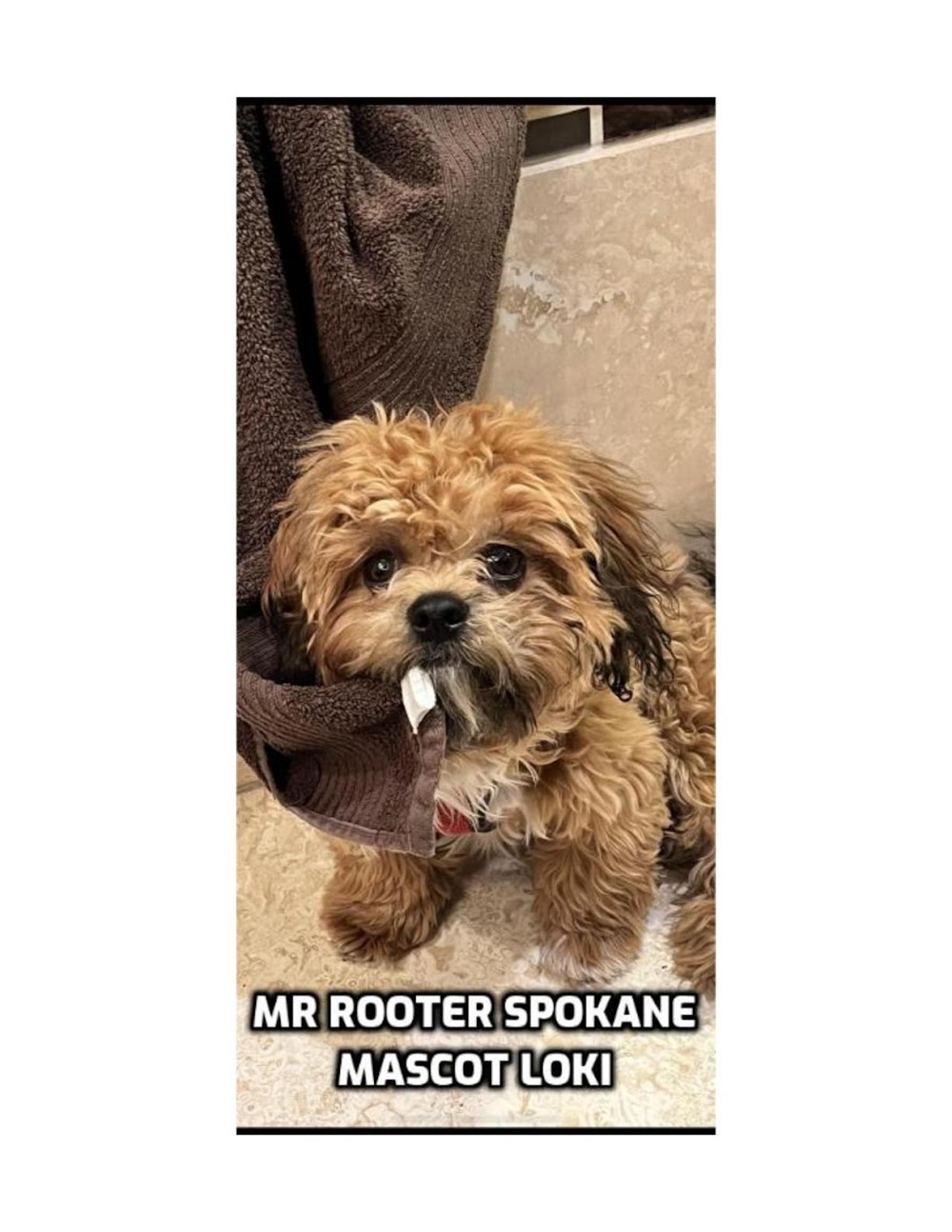 Mr. Rooter Plumbing of Spokane