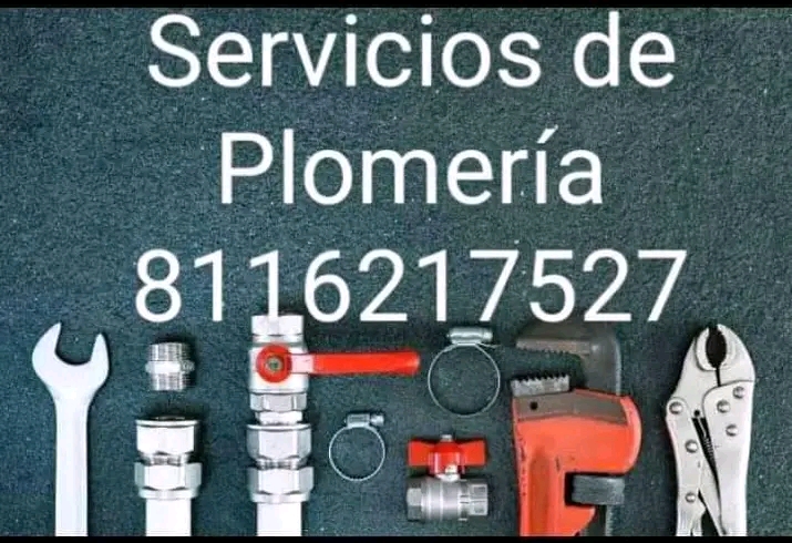 Plomería Profesional Obregon