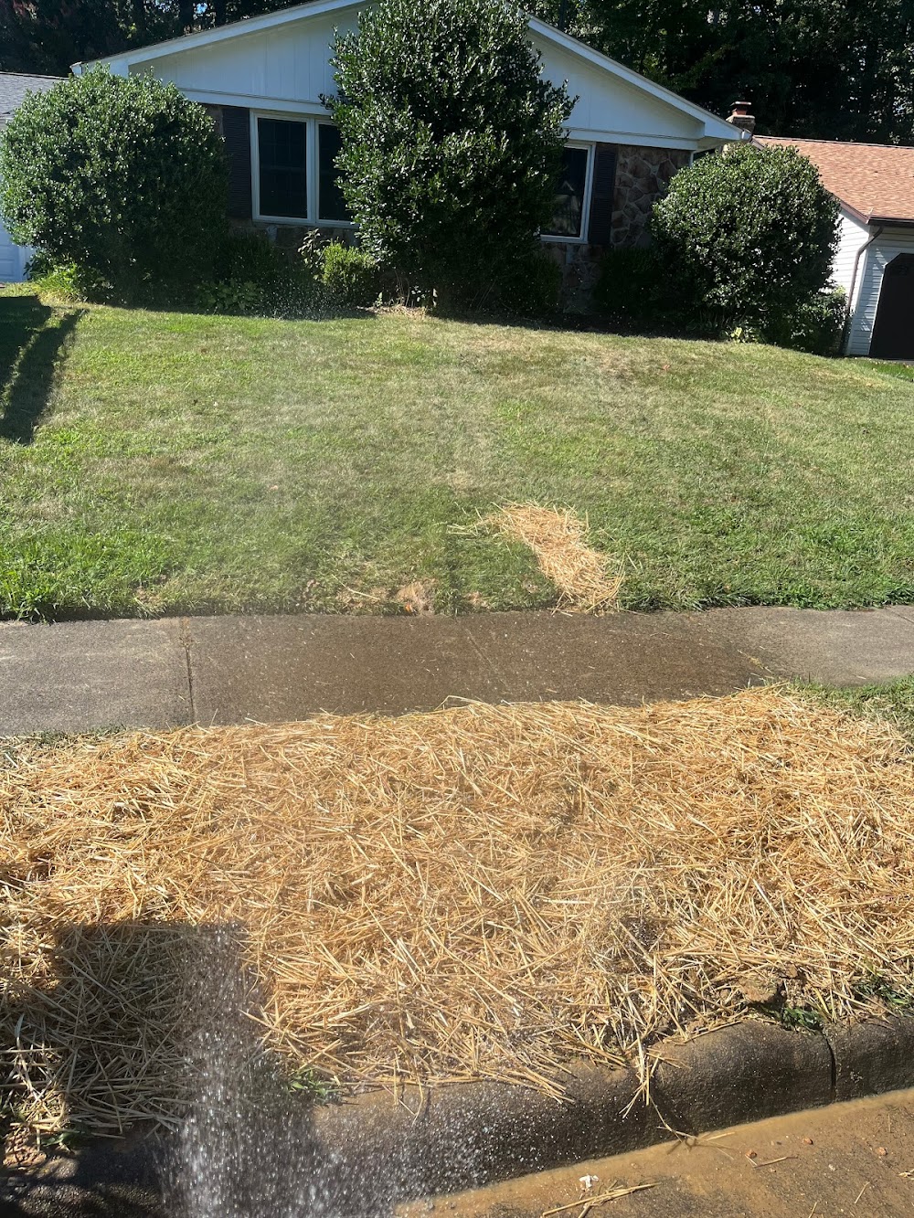 Quality Sewer and Drain