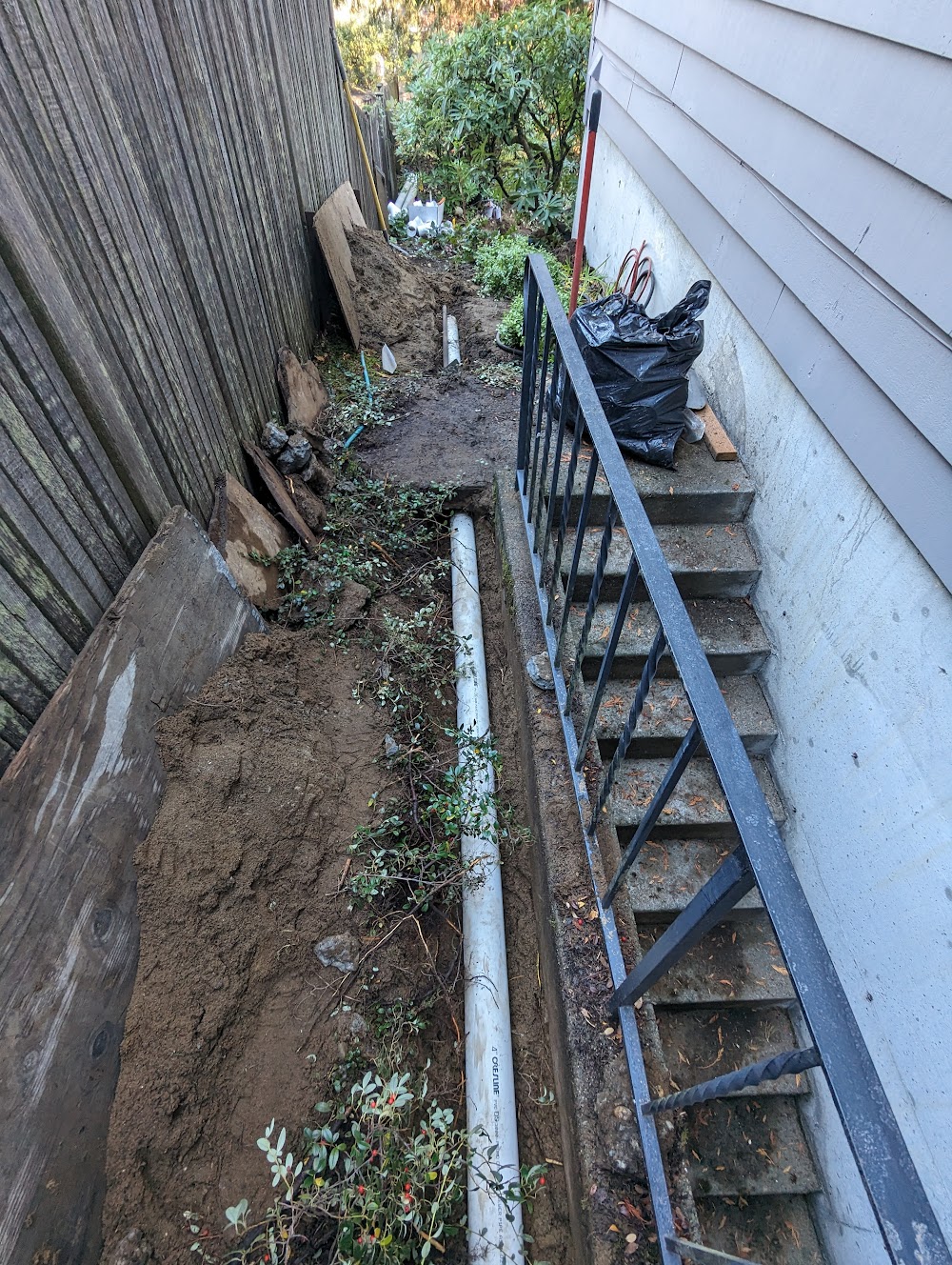 seattle drain service