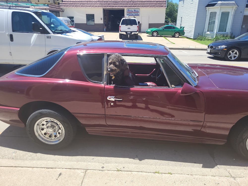 Sterling Mainz & Sons Plumbing