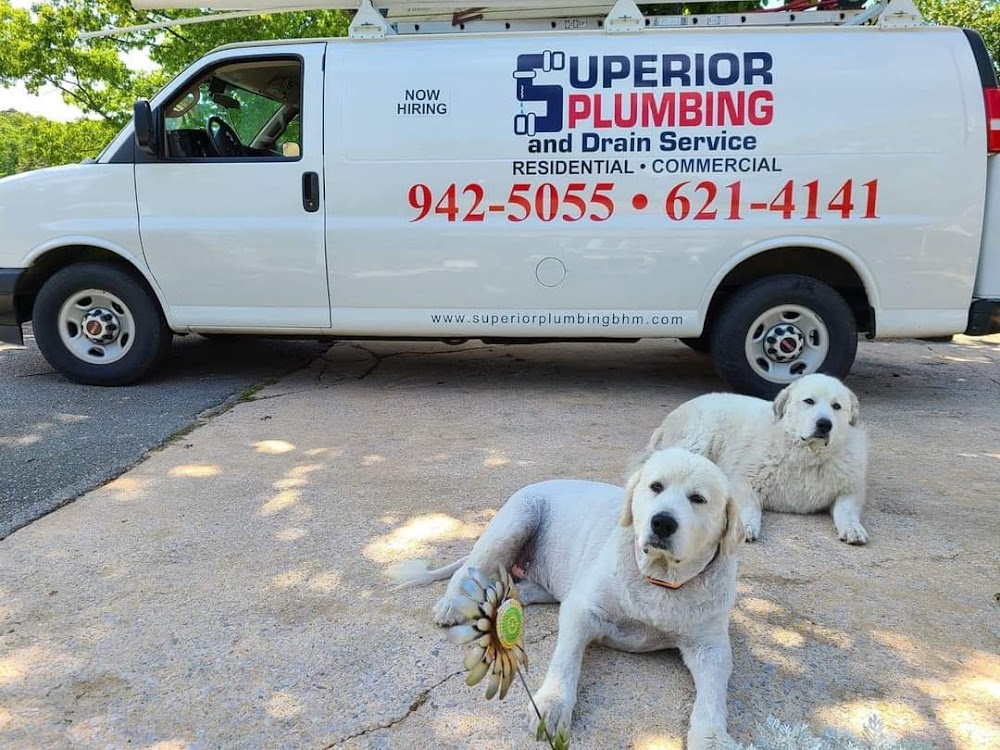 Superior Plumbing & Drain LLC